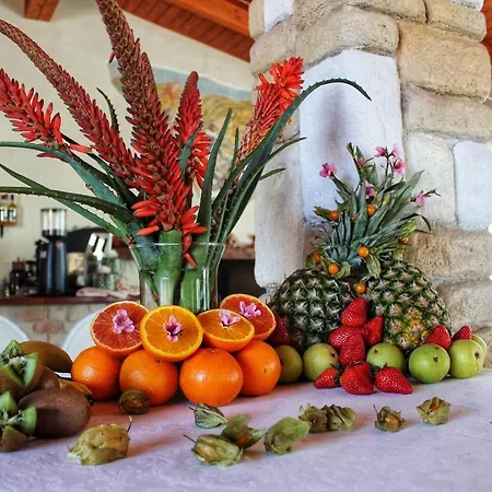 Hotel Il Borgo Degli Ulivi 3*